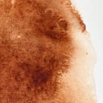 Burnt Umber